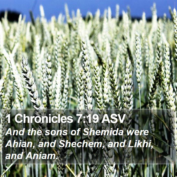 1 Chronicles 7:19 ASV Bible Study