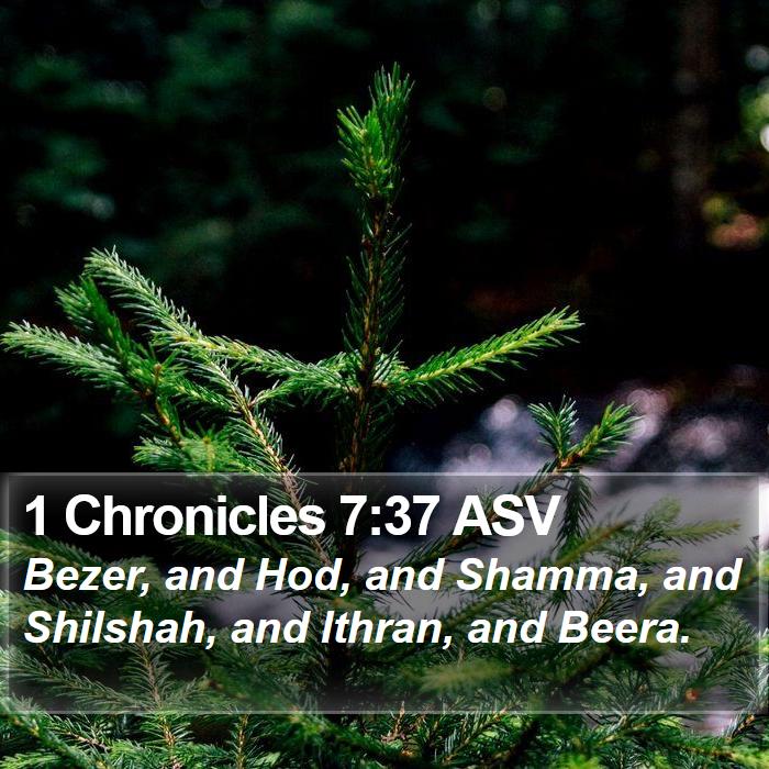 1 Chronicles 7:37 ASV Bible Study