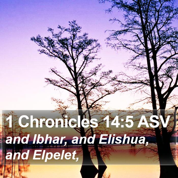 1 Chronicles 14:5 ASV Bible Study