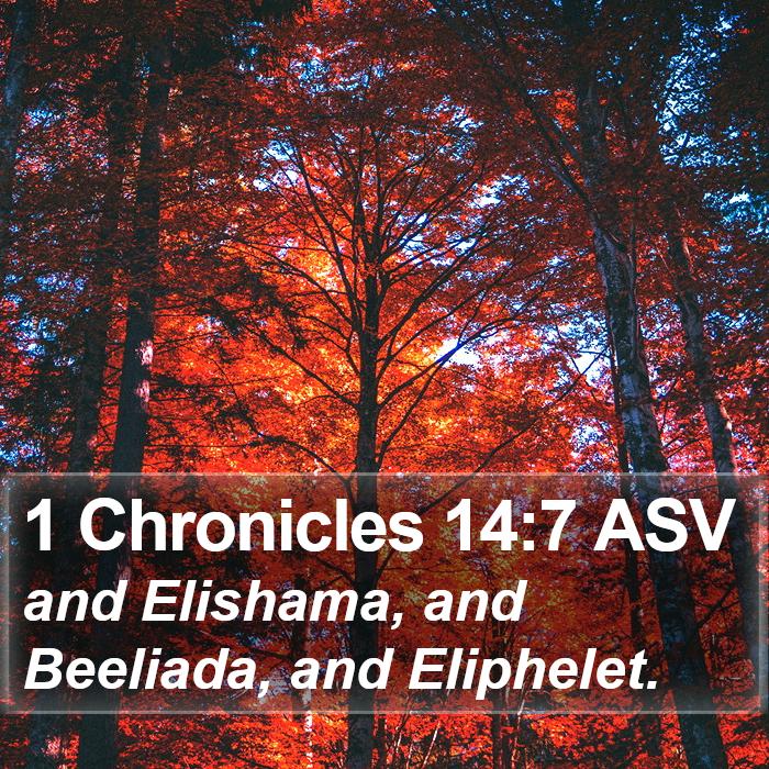 1 Chronicles 14:7 ASV Bible Study