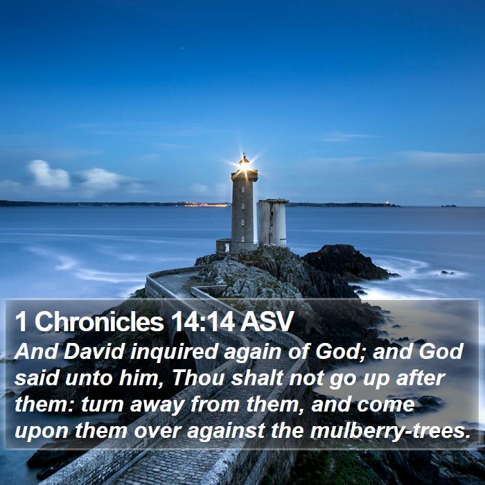 1 Chronicles 14:14 ASV Bible Study