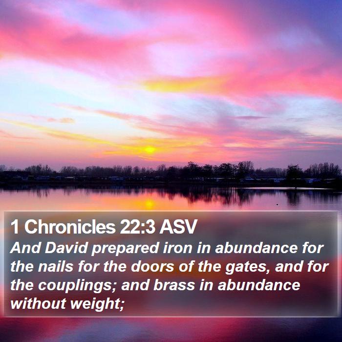 1 Chronicles 22:3 ASV Bible Study