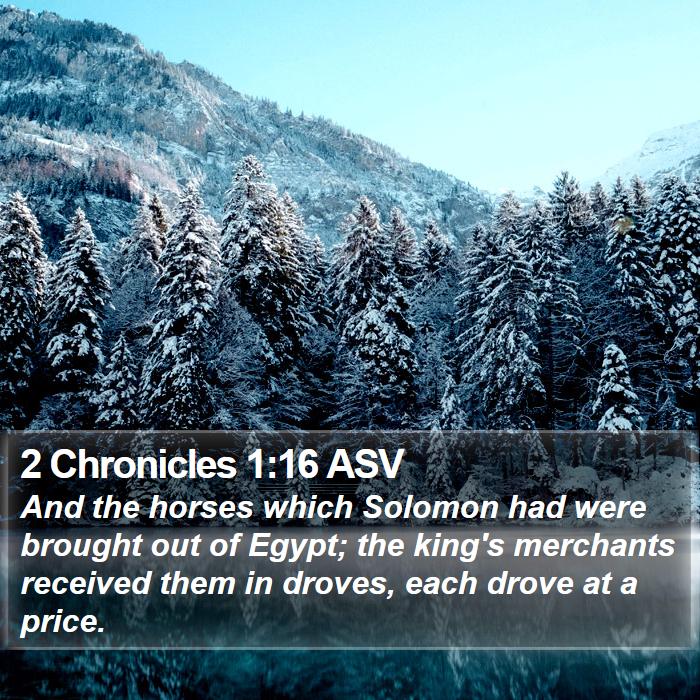 2 Chronicles 1:16 ASV Bible Study