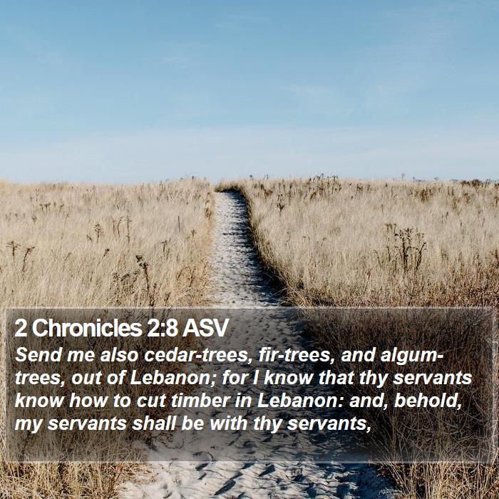 2 Chronicles 2:8 ASV Bible Study