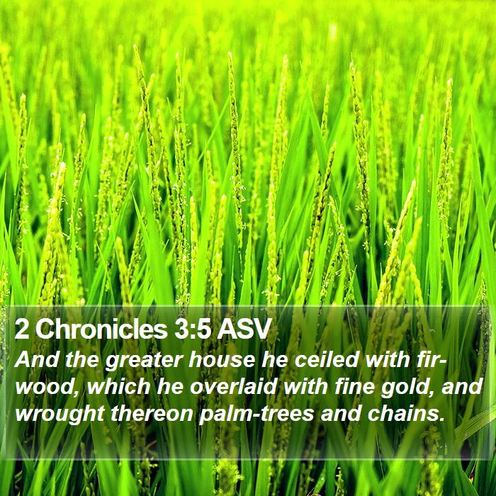 2 Chronicles 3:5 ASV Bible Study