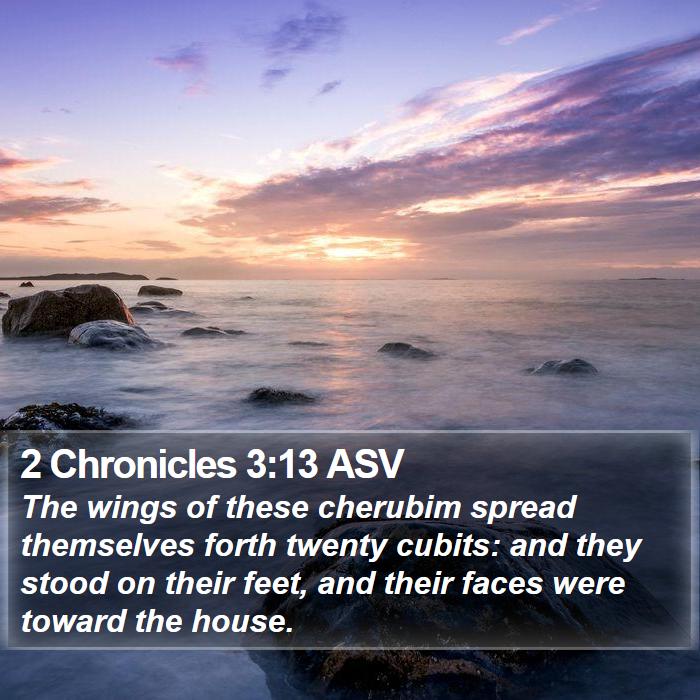 2 Chronicles 3:13 ASV Bible Study