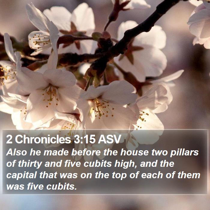 2 Chronicles 3:15 ASV Bible Study