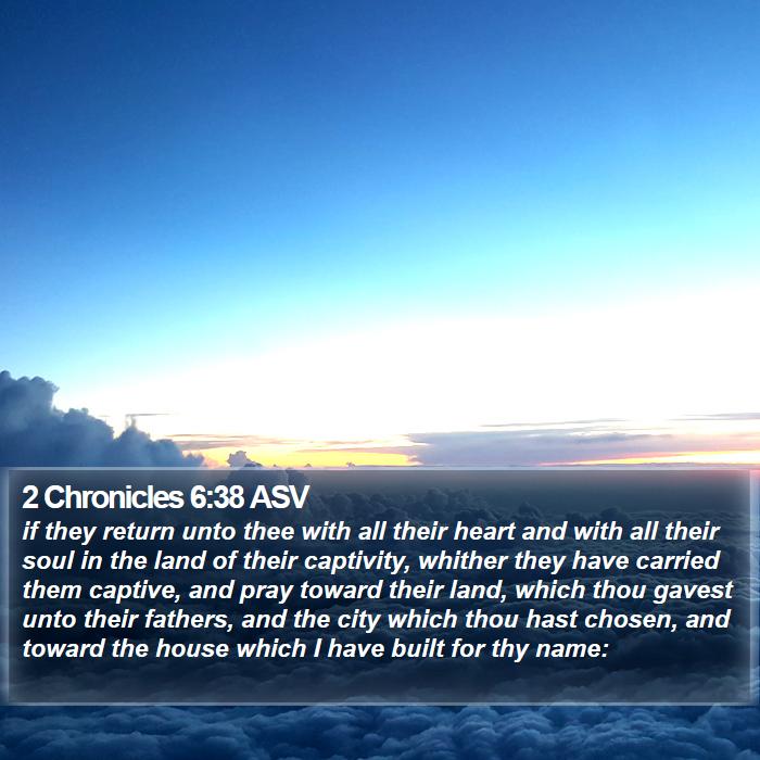 2 Chronicles 6:38 ASV Bible Study