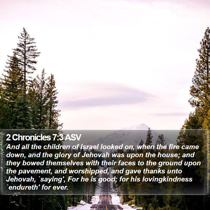 2 Chronicles 7:3 ASV Bible Study