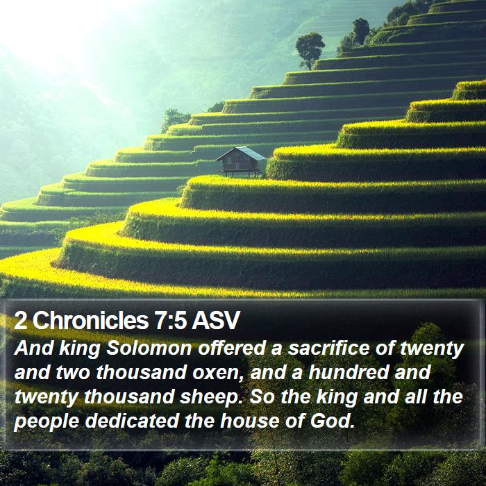 2 Chronicles 7:5 ASV Bible Study