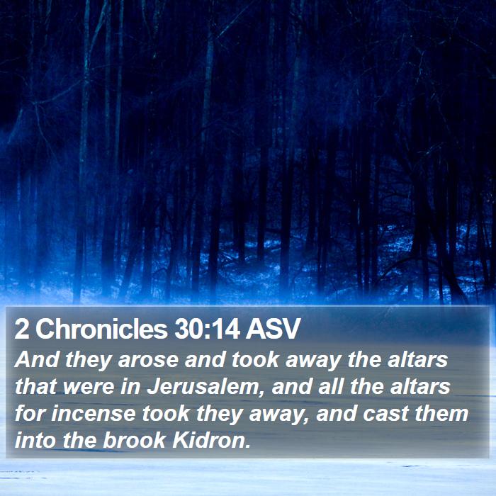 2 Chronicles 30:14 ASV Bible Study