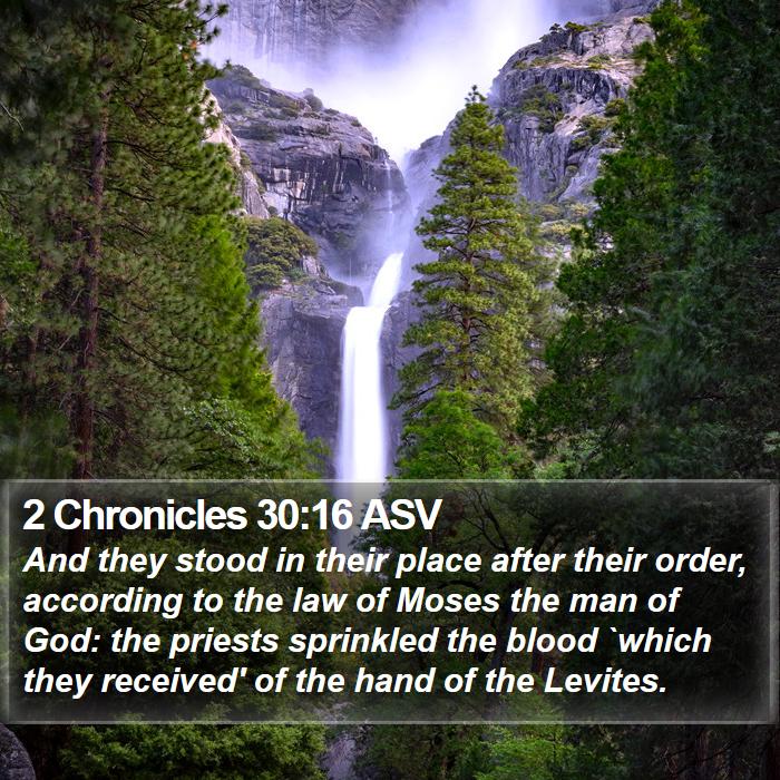 2 Chronicles 30:16 ASV Bible Study