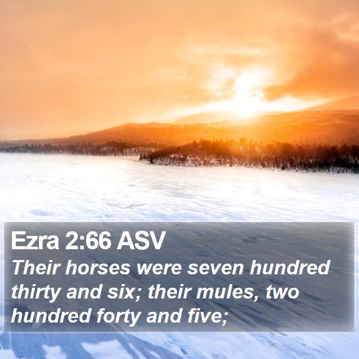 Ezra 2:66 ASV Bible Study