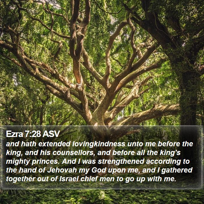 Ezra 7:28 ASV Bible Study