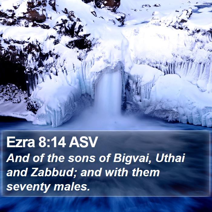 Ezra 8:14 ASV Bible Study