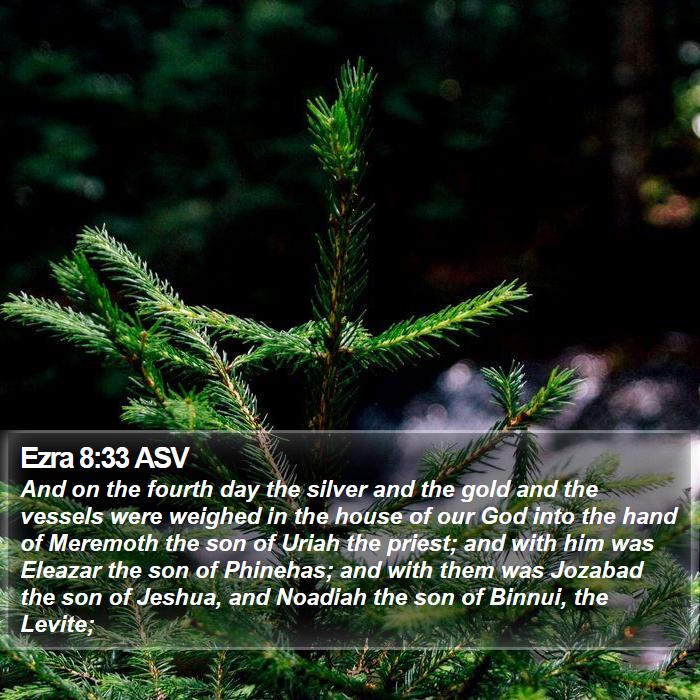 Ezra 8:33 ASV Bible Study