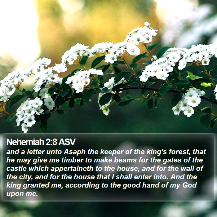 Nehemiah 2:8 ASV Bible Study