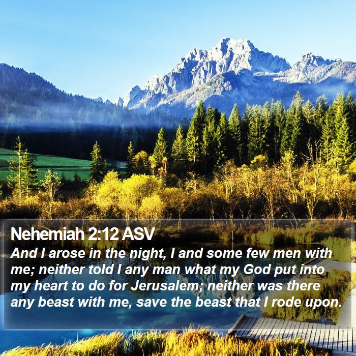 Nehemiah 2:12 ASV Bible Study