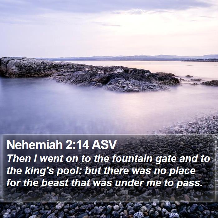 Nehemiah 2:14 ASV Bible Study