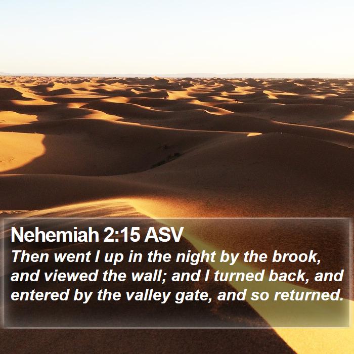 Nehemiah 2:15 ASV Bible Study