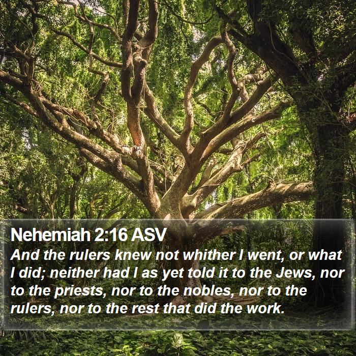 Nehemiah 2:16 ASV Bible Study