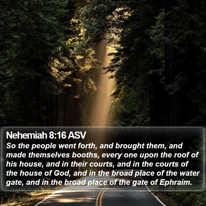 Nehemiah 8:16 ASV Bible Study