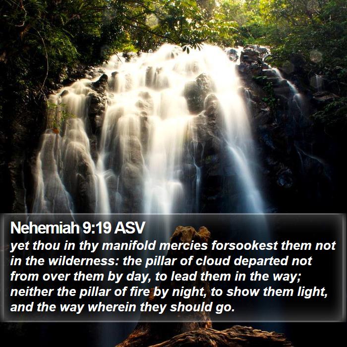 Nehemiah 9:19 ASV Bible Study