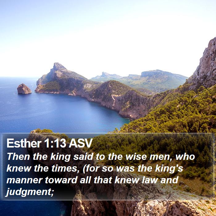 Esther 1:13 ASV Bible Study