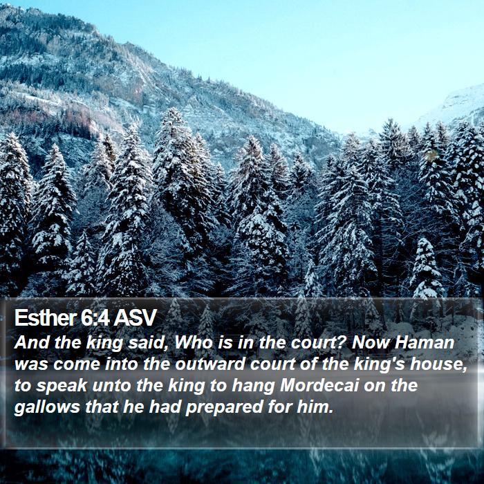 Esther 6:4 ASV Bible Study