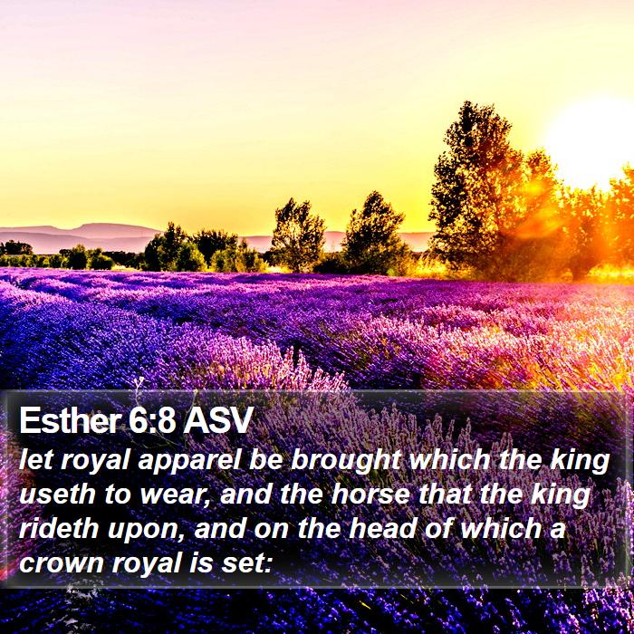 Esther 6:8 ASV Bible Study