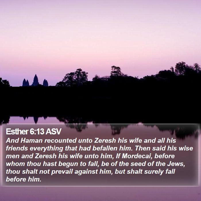 Esther 6:13 ASV Bible Study