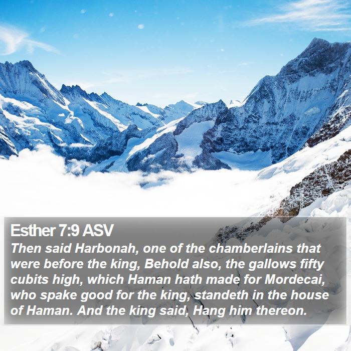 Esther 7:9 ASV Bible Study