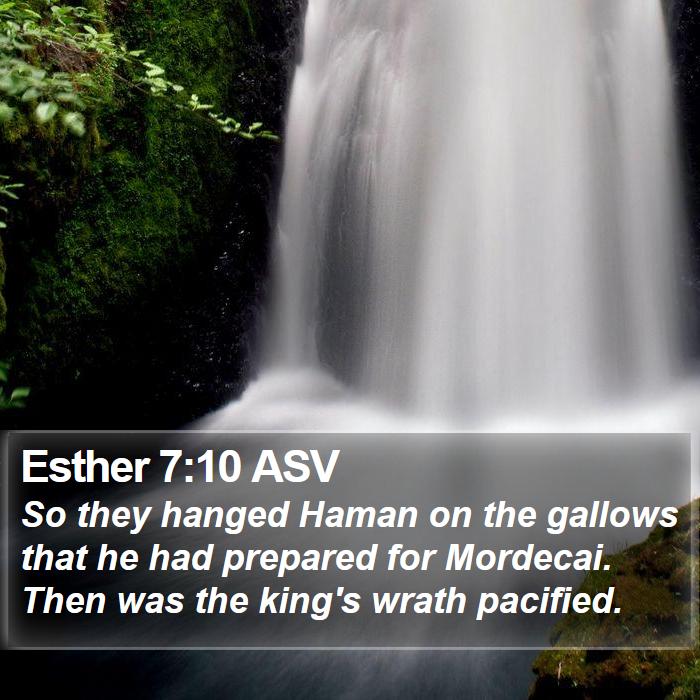 Esther 7:10 ASV Bible Study