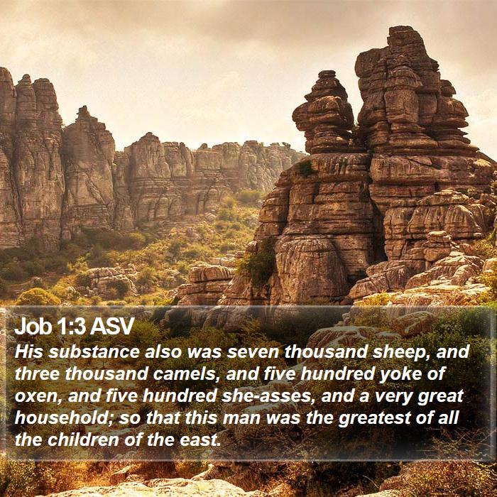 Job 1:3 ASV Bible Study