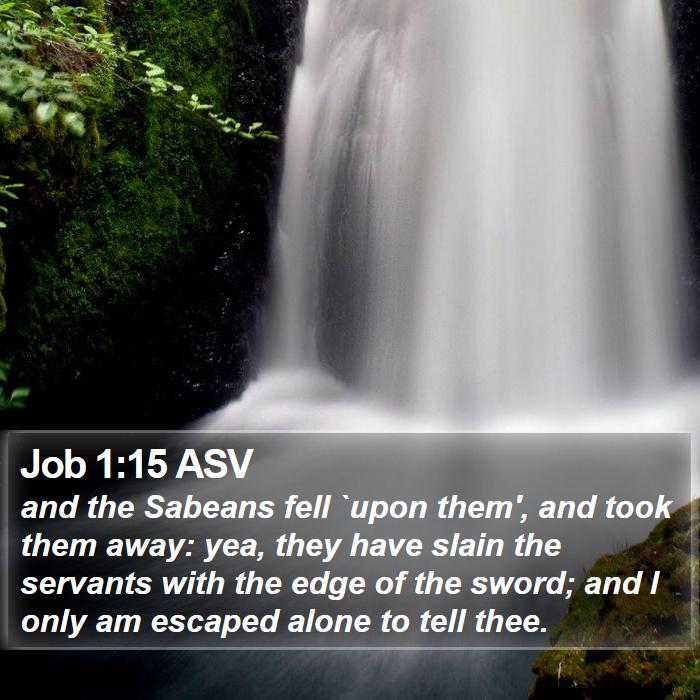 Job 1:15 ASV Bible Study