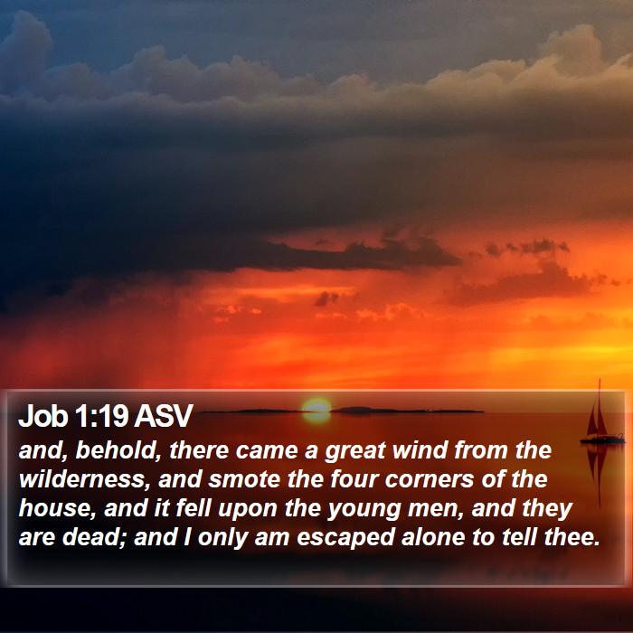 Job 1:19 ASV Bible Study