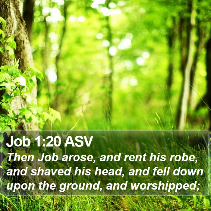 Job 1:20 ASV Bible Study