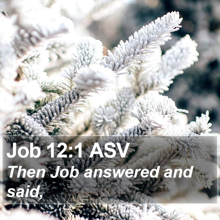 Job 12:1 ASV Bible Study