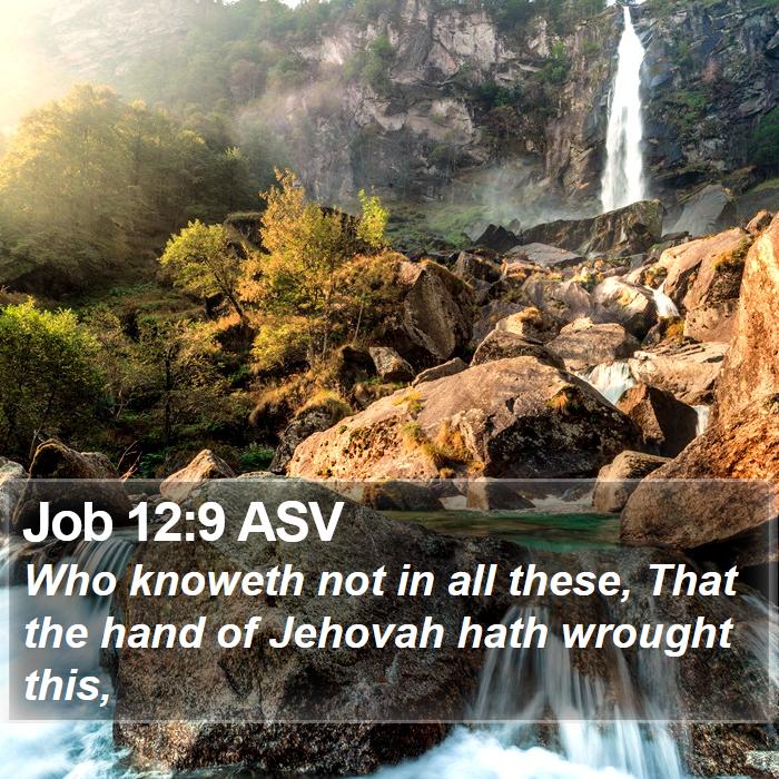 Job 12:9 ASV Bible Study