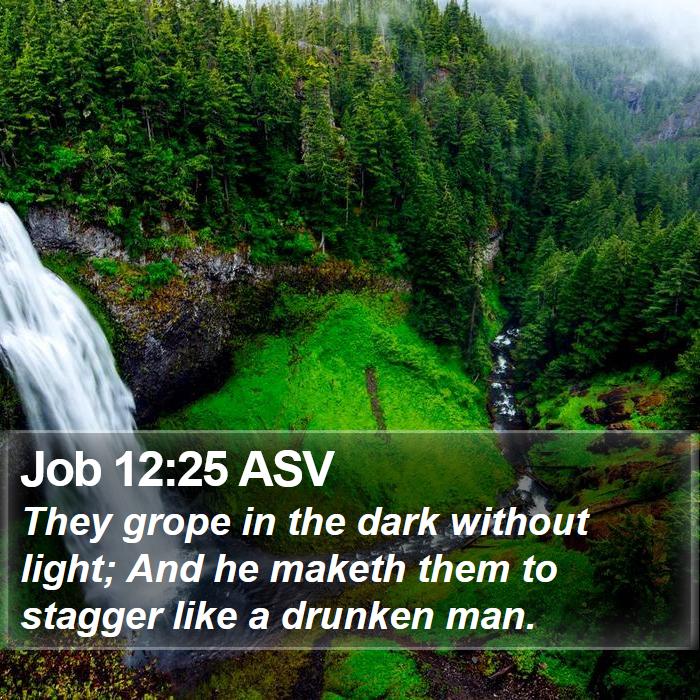 Job 12:25 ASV Bible Study