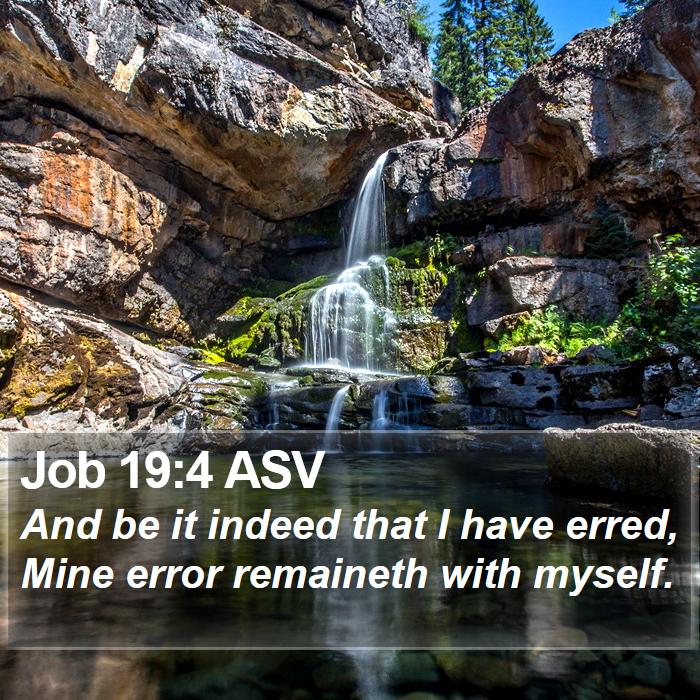 Job 19:4 ASV Bible Study