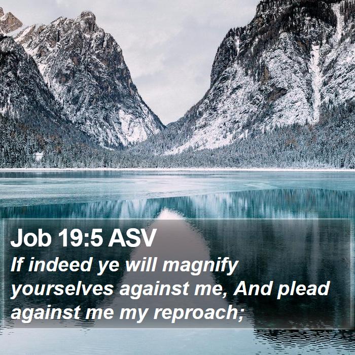 Job 19:5 ASV Bible Study