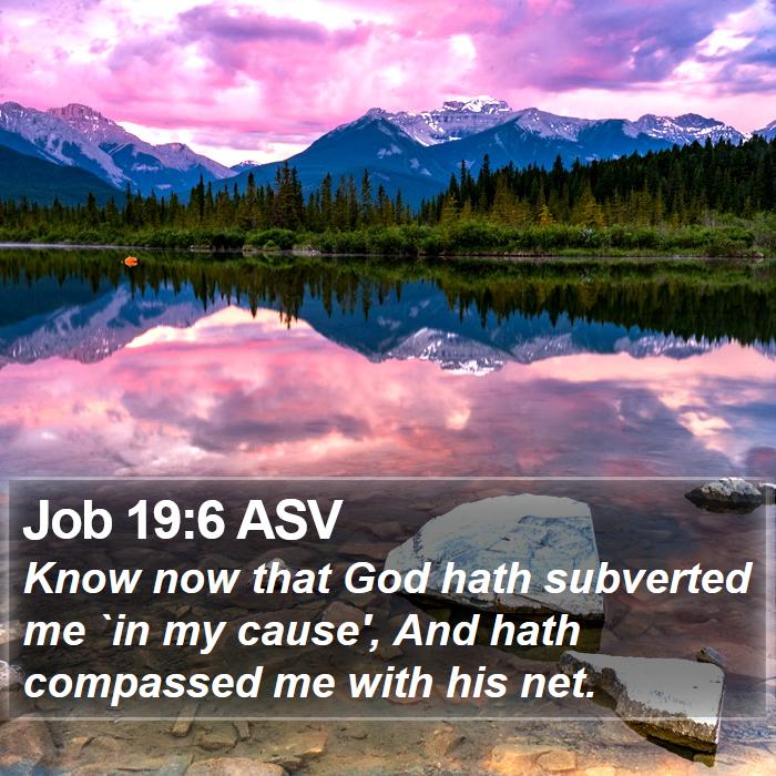 Job 19:6 ASV Bible Study