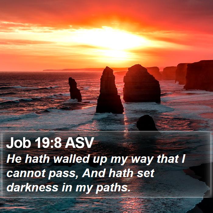 Job 19:8 ASV Bible Study