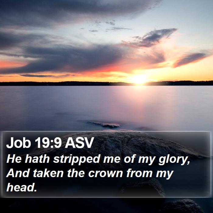 Job 19:9 ASV Bible Study