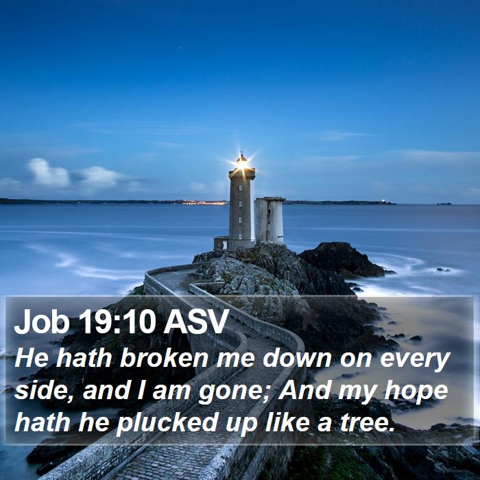 Job 19:10 ASV Bible Study