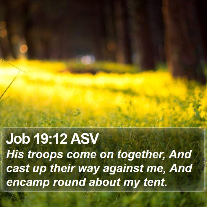 Job 19:12 ASV Bible Study