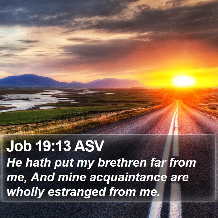 Job 19:13 ASV Bible Study