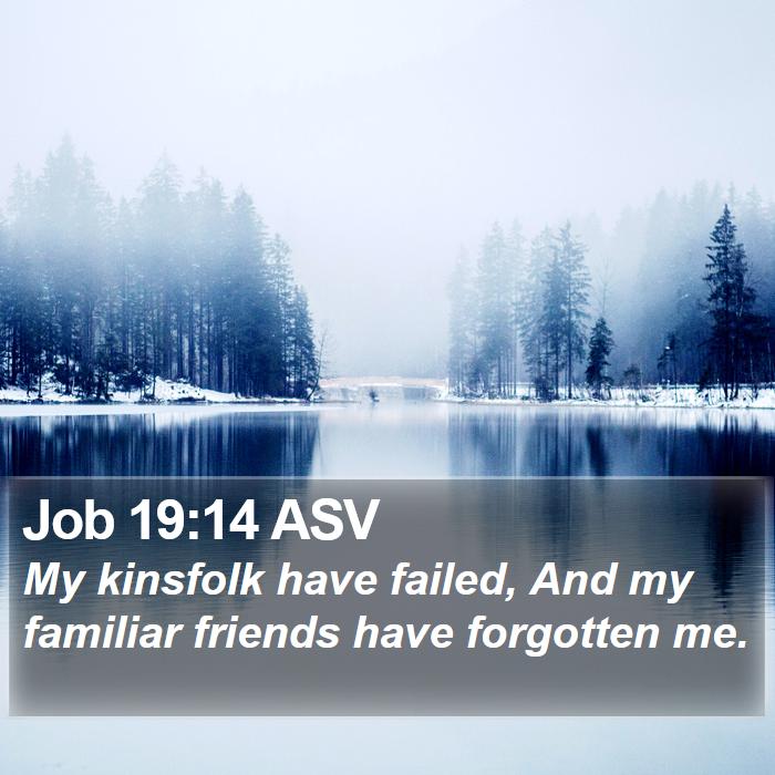 Job 19:14 ASV Bible Study