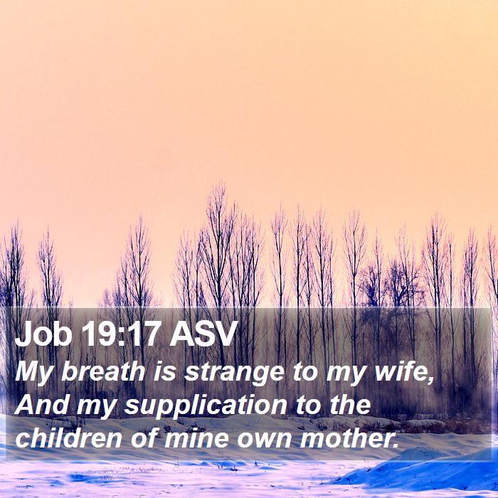 Job 19:17 ASV Bible Study